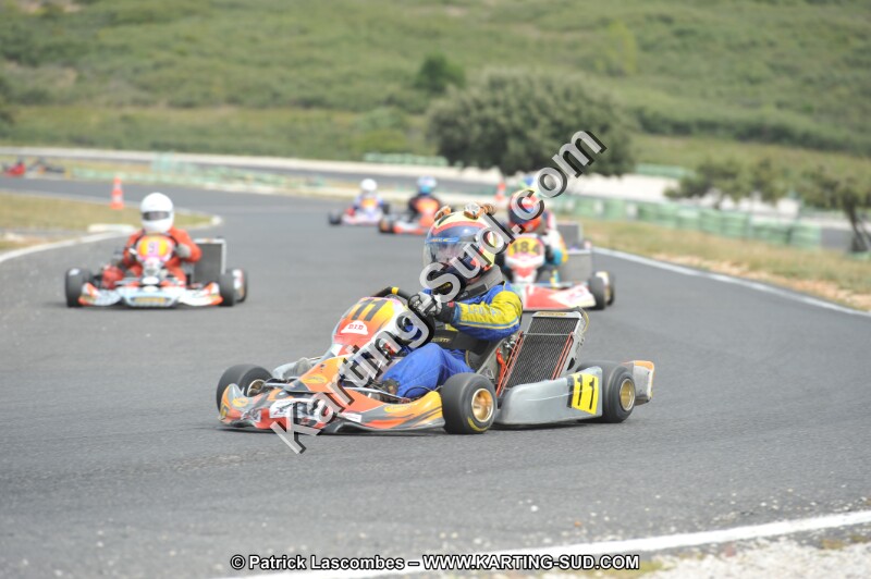 DSC (3448).JPG